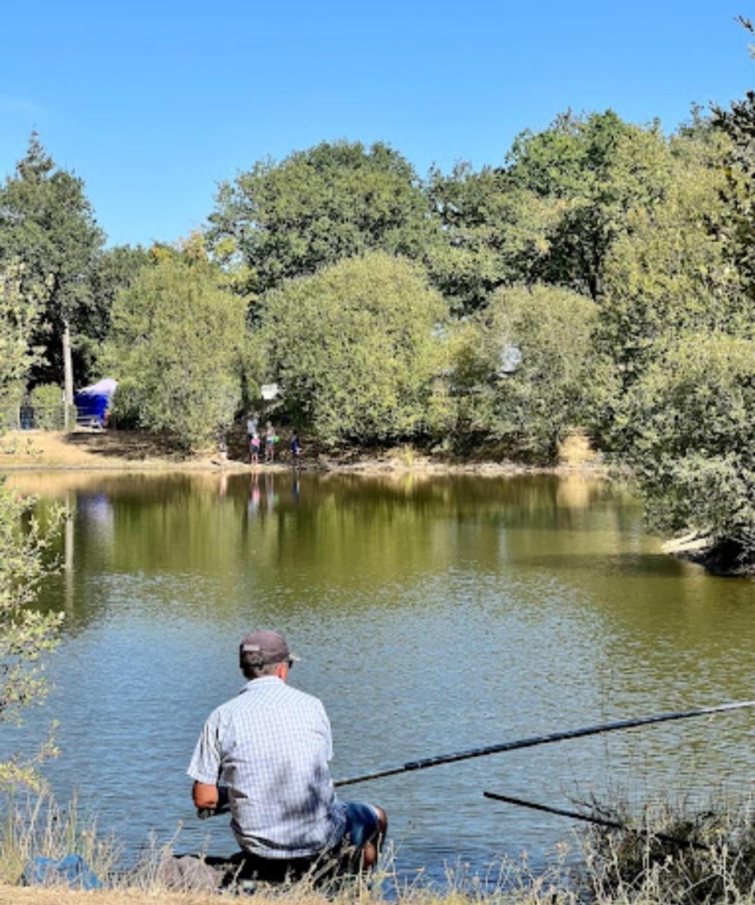 L'oree Du Bois Camping La Boissiere-de-Montaigu
